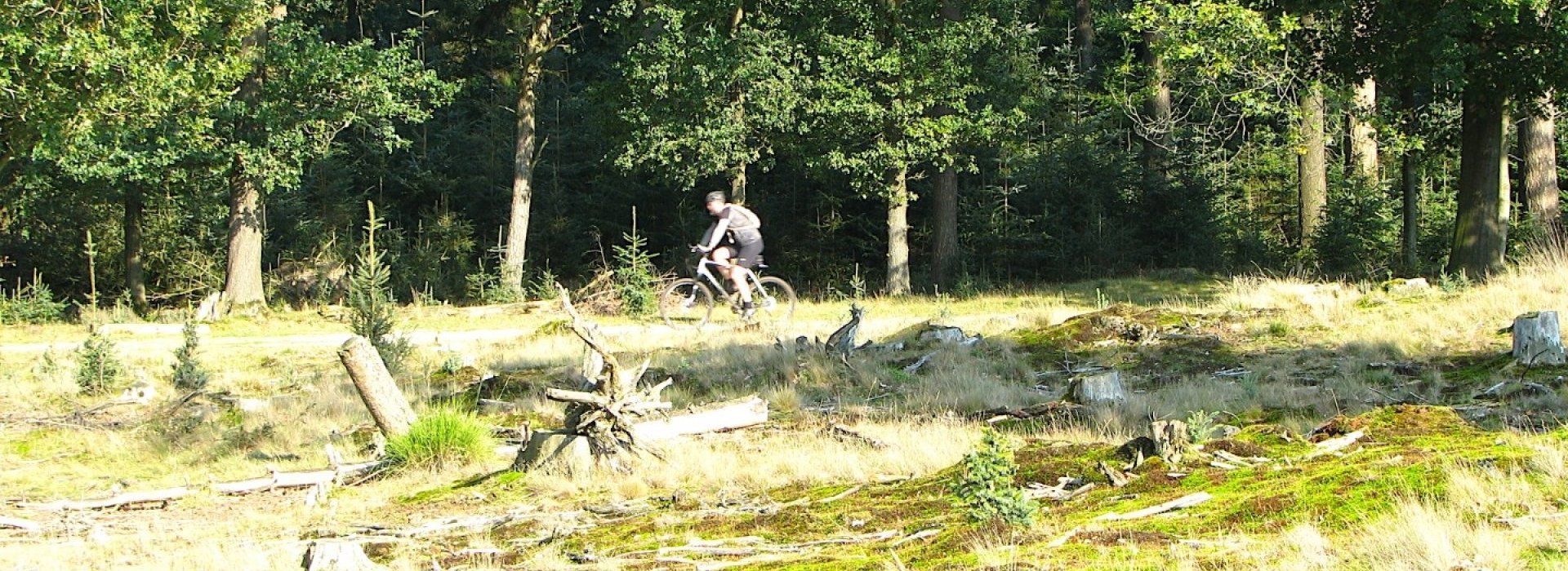 Overnachten_in_Drenthe.jpg