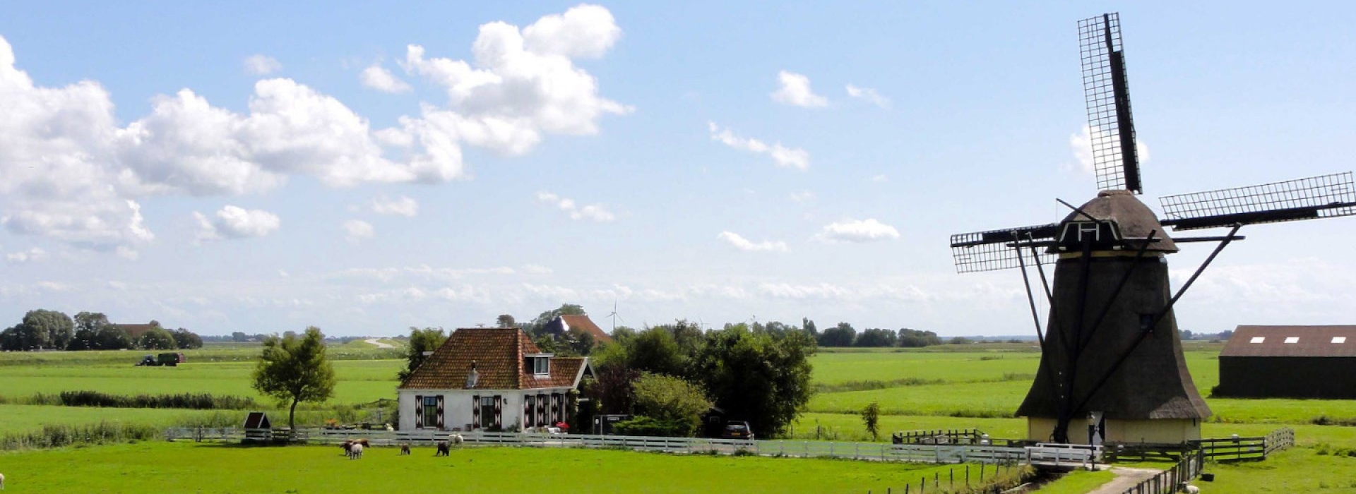 friesland-landscape.jpg